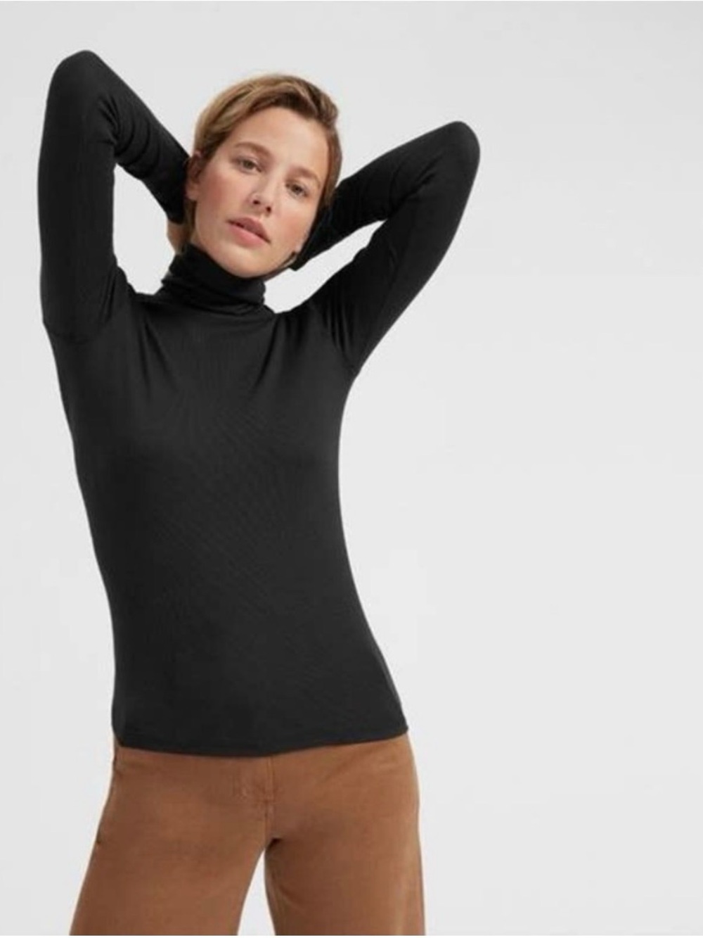 Everlane Black Pima Cotton Turtleneck